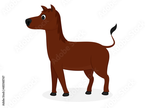 Horse on a white background.