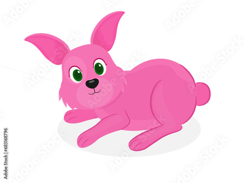 Little rabbit on a white background.