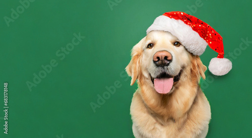 Golden Retriever Celebrating Christmas - Creative Animal Celebration.