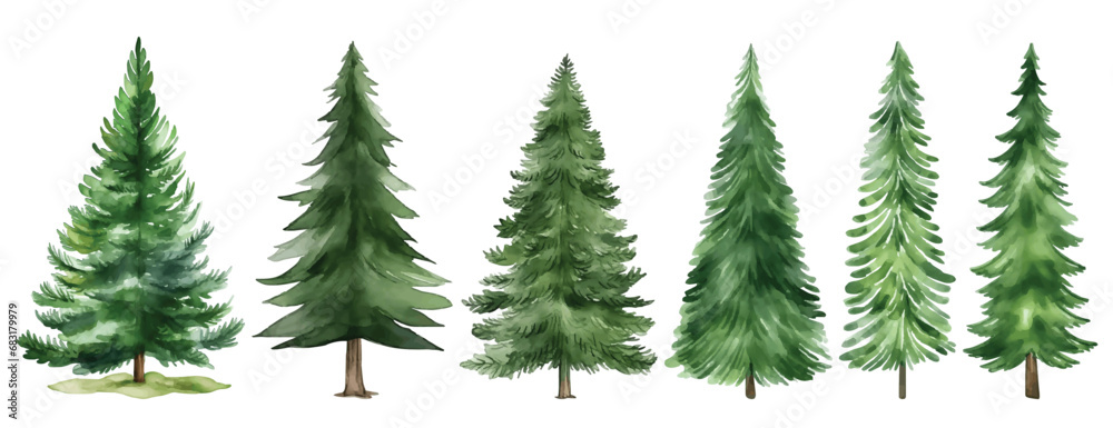 Watercolor Christmas Spruce and Pine Tree Illustration