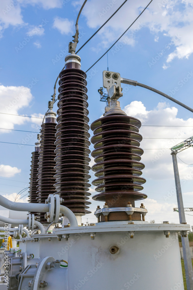 High and low voltage transformer bushings with electrical insulation