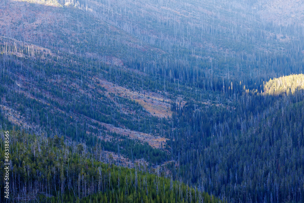 Fototapeta premium Mountain valley in Yellowstone National Park during fall