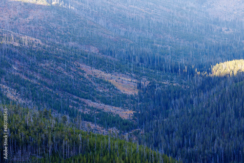 Mountain valley in Yellowstone National Park during fall