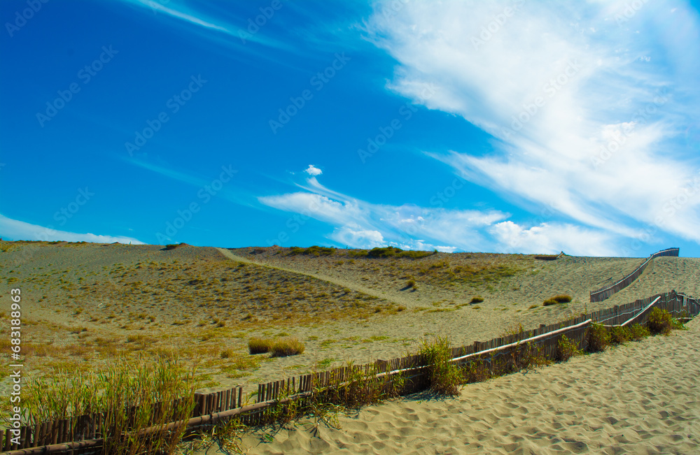 中田島砂丘の堆砂垣と青空
