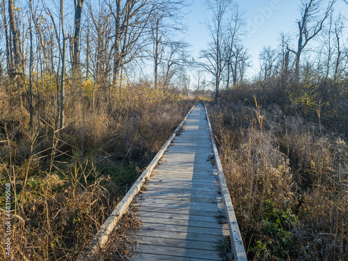 Wooden Boardwalk in Belle Isle in Detroit, Michaigan near the Woodside Shelter off the Iron Belle trail