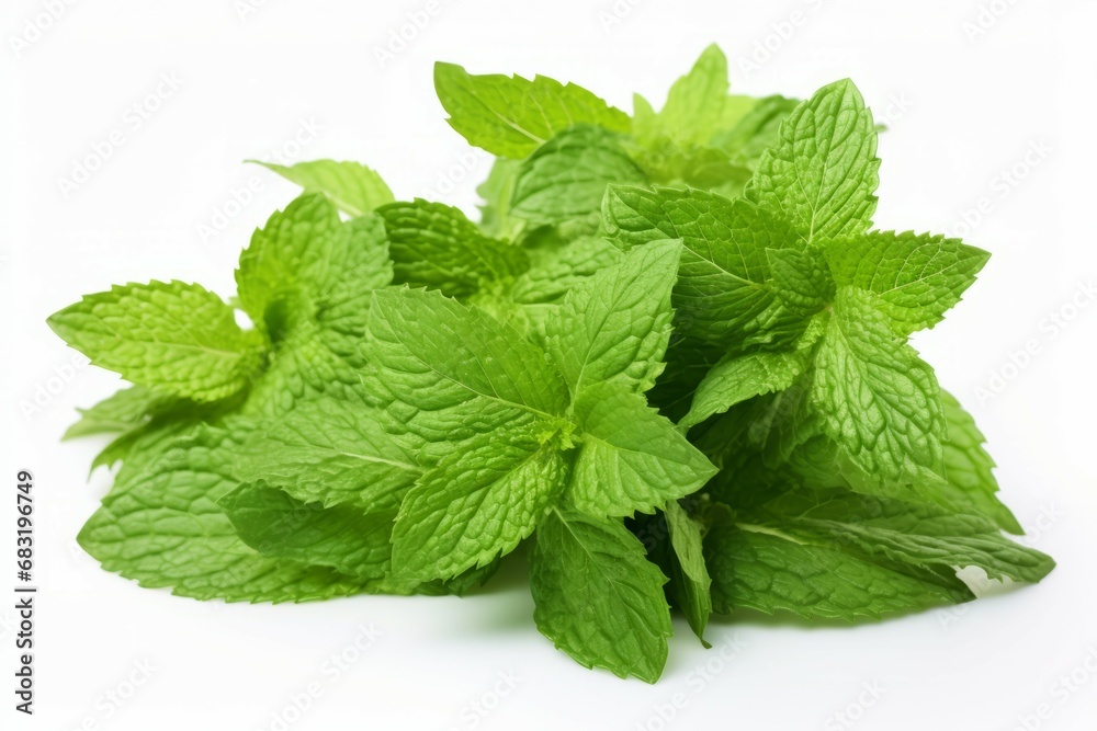 Closeup of a heap of spearmint and peppermint leaves on a white background Closeup of a heap of spearmint and peppermint leaves on a white background