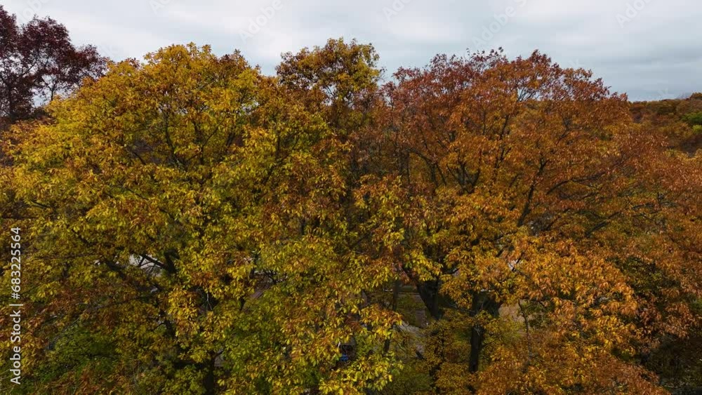 Descending near the coast of lake Michigan in Fall 2023. Descending near the coast of lake Michigan in Fall 2023.