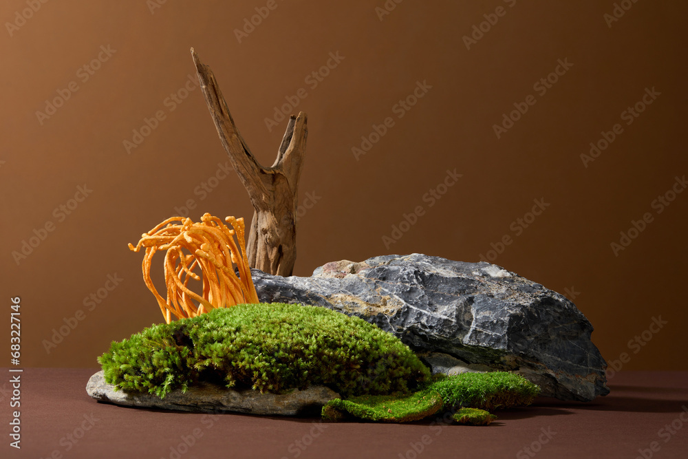 Obraz premium Scene depicting cordyceps mushrooms and green moss growing on rocks on a brown background. Cordyceps is a parasitic fungus that grows on caterpillar larvae.