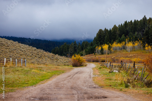 Dairy Creek Road near Beaver Creek Campground near Spencer, Idaho during fall