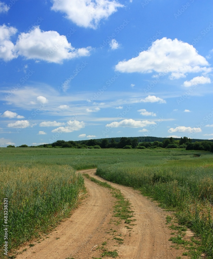 Dirt road in the green field and blue sky with white clouds Dirt road in the green field and blue sky with white clouds