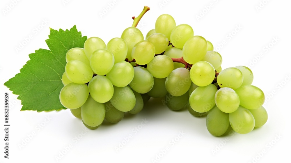 Edinburgh is a popular spring vacation location. Studio shot Collection ed and green grape with leaves isolated on white background with clipping path.