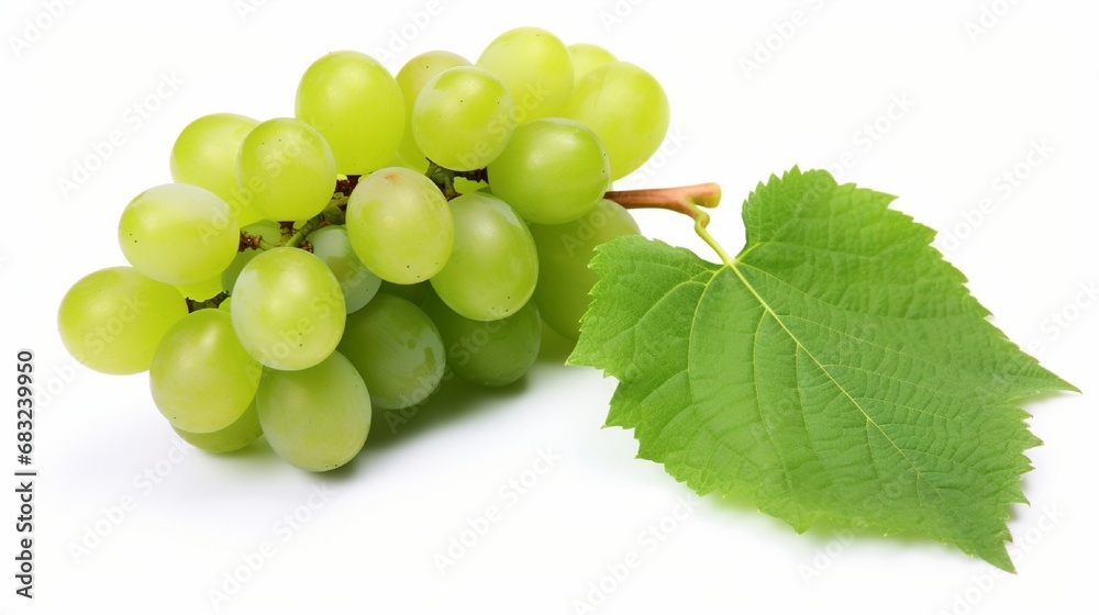 Edinburgh is a popular spring vacation location. Studio shot Collection ed and green grape with leaves isolated on white background with clipping path. Edinburgh is a popular spring vacation location. Studio shot Collection ed and green grape with leaves isolated on white background with clipping path.