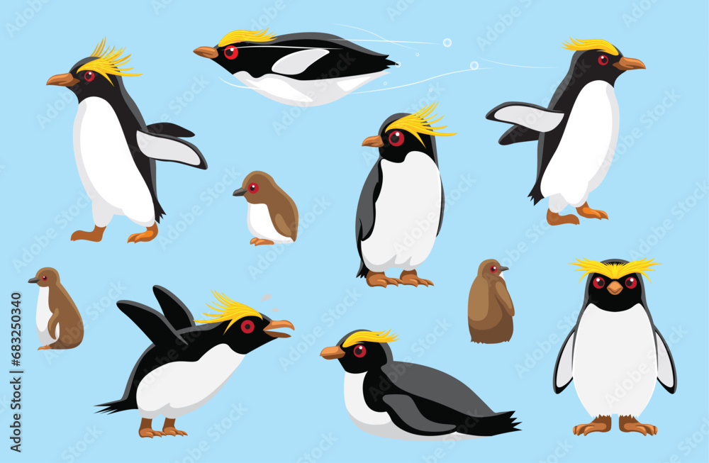 Obraz premium Macaroni Penguin Chick Cute Bird Winter Set Cartoon Vector