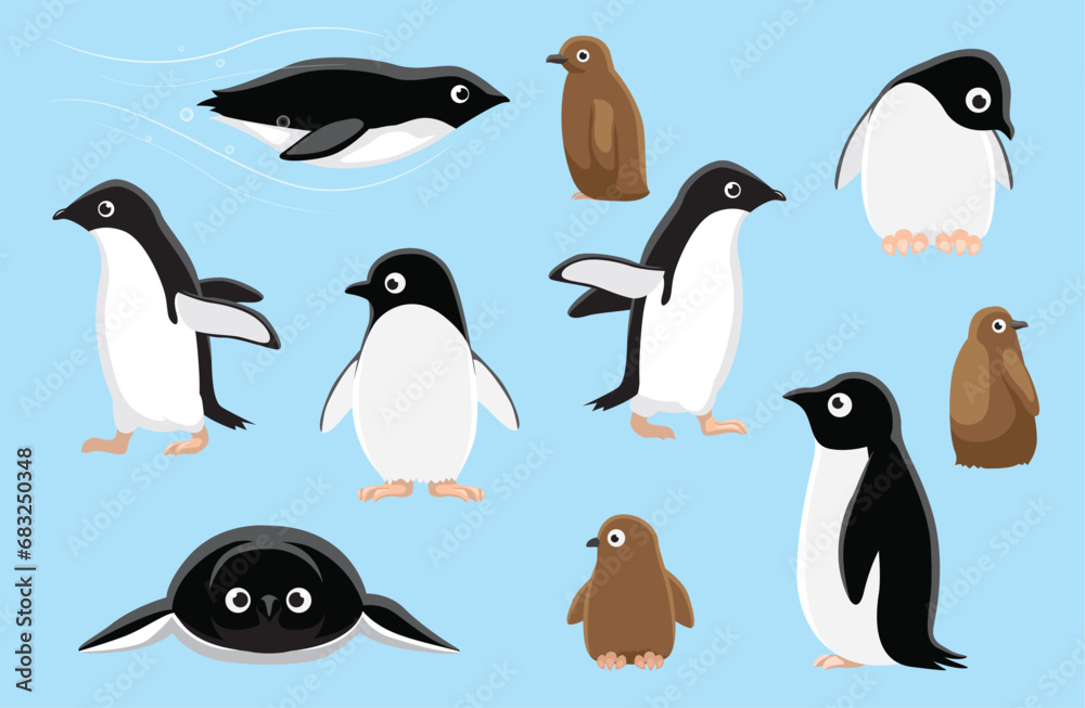 Obraz premium Adelie Penguin Chick Cute Bird Winter Set Cartoon Vector