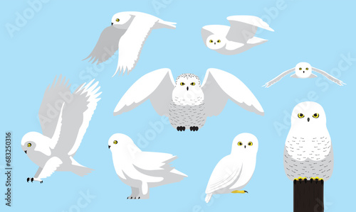 Snowy Owl Cute Bird Winter Flying Set Cartoon Vector