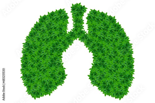 Illustration, lungs and green leaves on white background