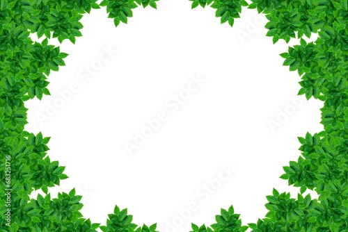 Illustration, green leaves on the side and free space