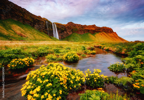 Lovely view of blooming green field. Location place Seljalandfoss waterfall, Iceland.