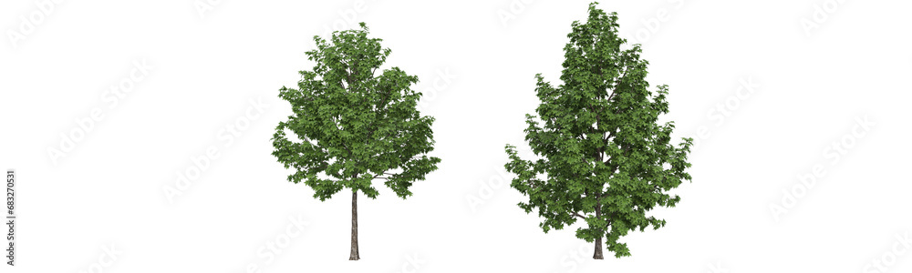 These images are used to decorate the house, replace or create a forest, hope you like them These images are used to decorate the house, replace or create a forest, hope you like them