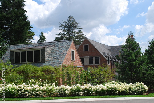 These images are used to decorate the house, replace or create a forest, hope you like them