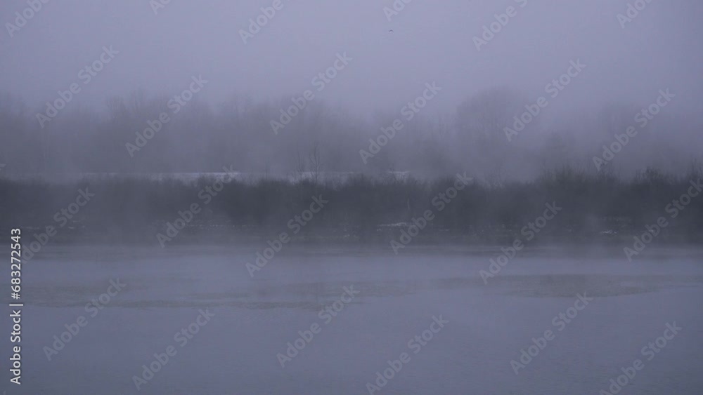 Mysterious Misty Lake Surrounded by Dense Forest and Serene Fog Mysterious Misty Lake Surrounded by Dense Forest and Serene Fog