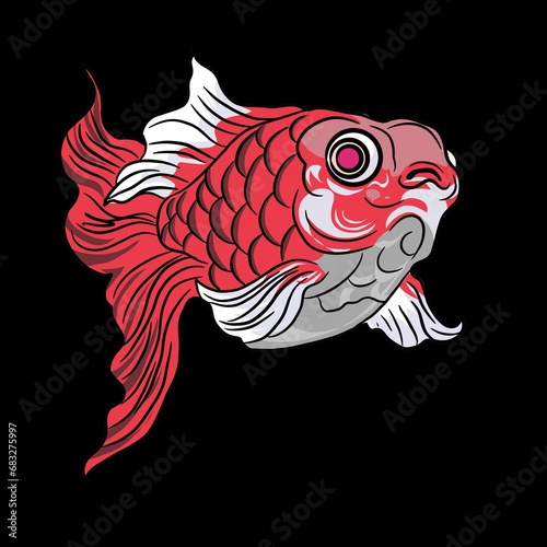 Ilustration gold fish oranda isolated black