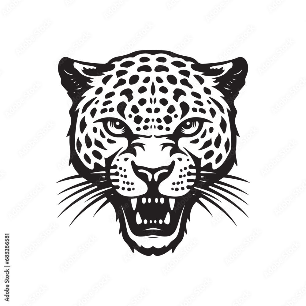 Leopard head Vector Images