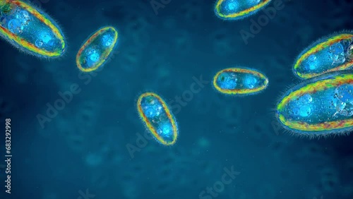 Close up of parasitic protozoans a single-celled eukaryotes flowing in liquid - 3d iluustration
