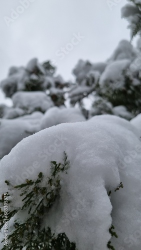 winter morning city park covered with snow photo