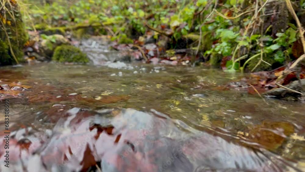 mountain river, trout habitat in the autumn season. detail. 4k video. mountain river, trout habitat in the autumn season. detail. 4k video.