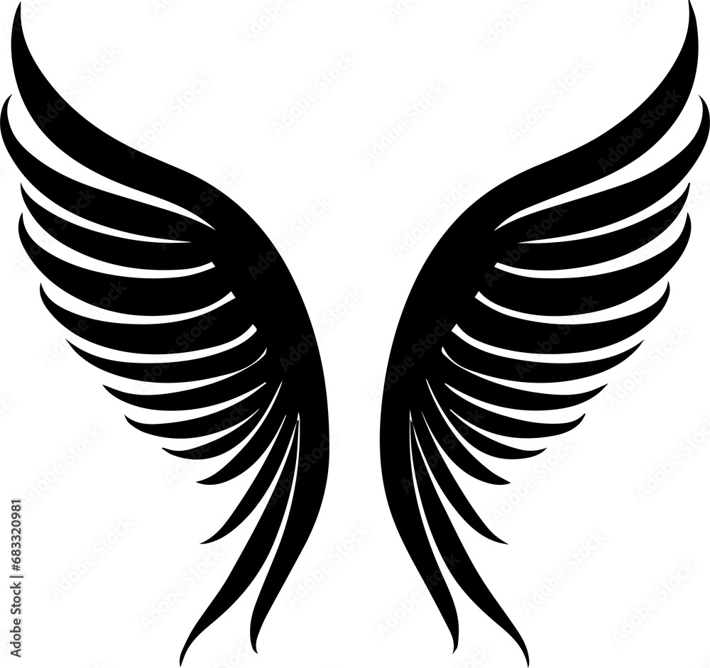 Fototapeta premium angel wings