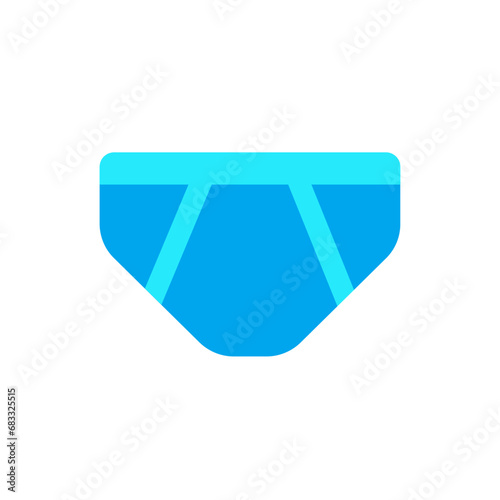Briefs