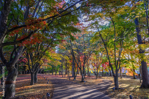 見晴公園の香雪園は紅葉が見頃 photo