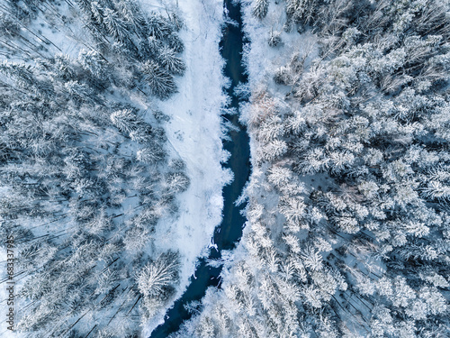 Aerial top view of blue river in snow forest with frozen pine trees