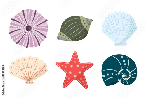 Set of colorful shells. Beautiful Rapana seashells, Starfish, round shell of urchin. Marine life, ocean mollusks. Vector illustration seashell hand drawn 	