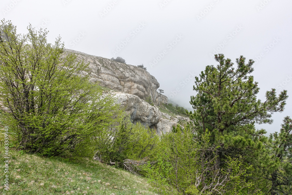 A picturesque mountain landscape in the clouds on Ai-Petri mountain in the Crimea. A high-altitude landscape with trees in the clouds. Fog on the mountain.