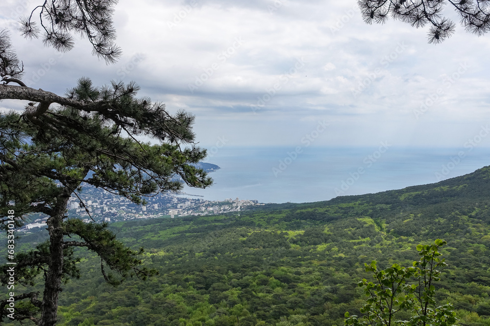 Picturesque view of the city of Yalta and the Black Sea from Ai-Petri mountain in Crimea. Mountain landscape with trees in the clouds. Clouds over Ai-Petri Mountain. Crimean Peninsula Picturesque view of the city of Yalta and the Black Sea from Ai-Petri mountain in Crimea. Mountain landscape with trees in the clouds. Clouds over Ai-Petri Mountain. Crimean Peninsula