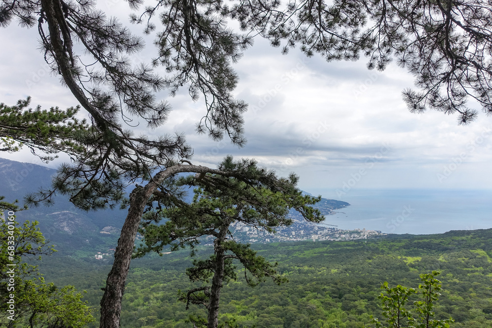 Obraz premium Picturesque view of the city of Yalta and the Black Sea from Ai-Petri mountain in Crimea. Mountain landscape with trees in the clouds. Clouds over Ai-Petri Mountain. Crimean Peninsula