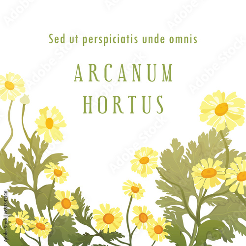 Vector illustrations for floral or herbal products