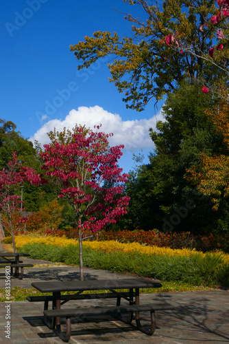 Garten der Kinjo Gakuin University in Japan photo