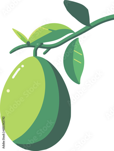 illustration of an green mango