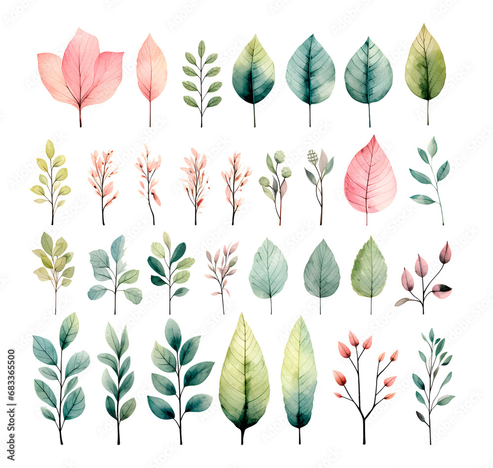 Watercolor isolated set of leaves, flowers and branches Watercolor isolated set of leaves, flowers and branches