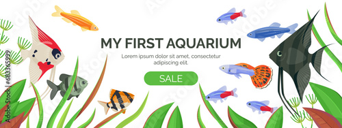 Horizontal banner with various aquarium fish and algae on a white background with space for text.