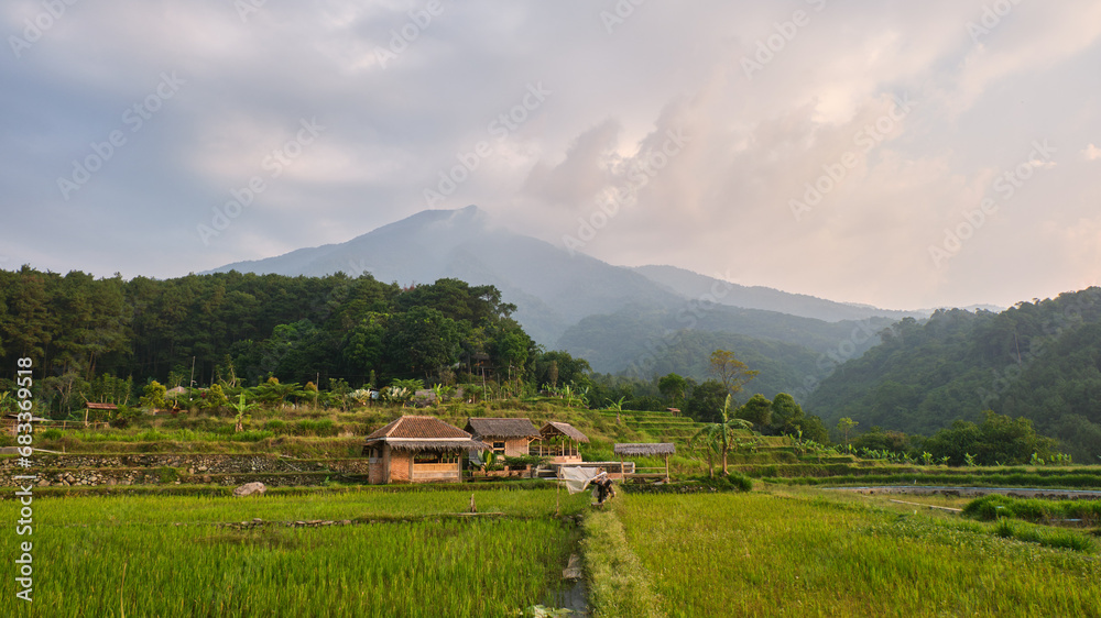 Beauty of Mountains, Vast Rice Fields, and Verdant Forests