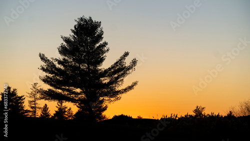 sunset in the field