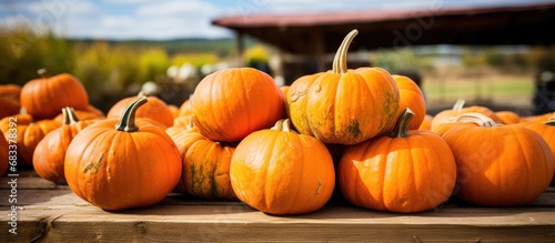 Close up of a large pumpkin group at an outdoor market stall