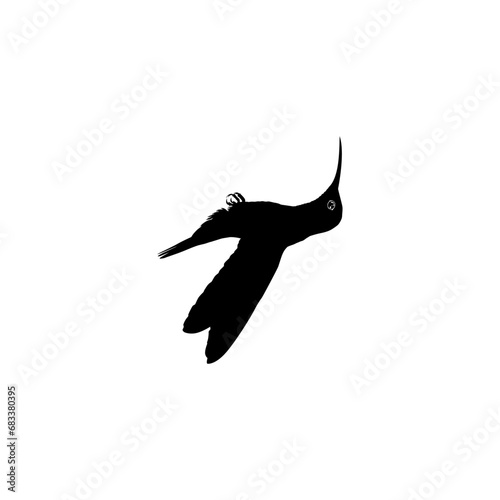 Fototapeta Naklejka Na Ścianę i Meble -  Flying Hummingbird Silhouette, can use Art Illustration, Website, Logo Gram, Pictogram or Graphic Design Element. Vector Illustration
