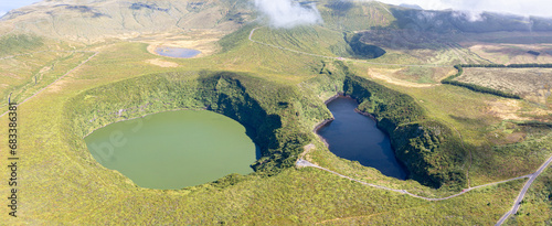 Wallpaper Mural Flores See Torontodigital.ca