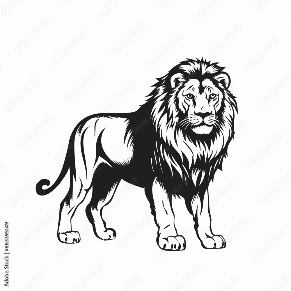 Lion vector Illustration Lion vector Illustration