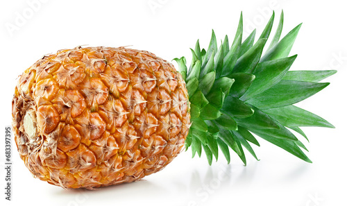 One pineapple isolated on white photo